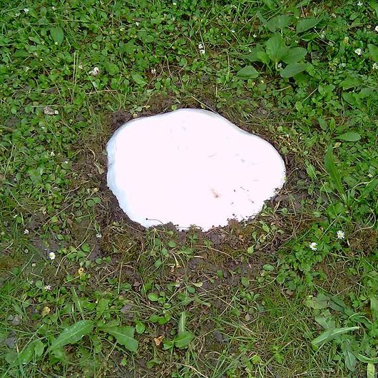 Zähne wachsen lassen