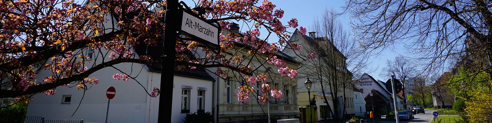 Zahnarzt Berlin Alt Marzahn. Hellersdorf
